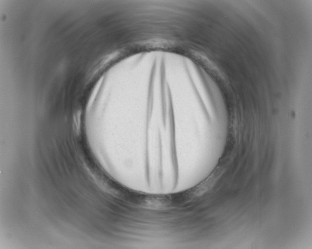 X0000085830070200704132048