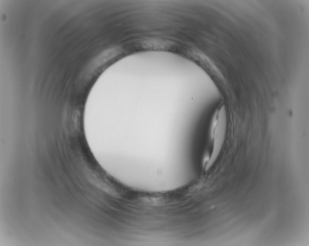X0000085830071200704132048