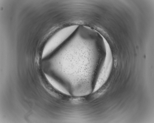 X0000085830072200704132048