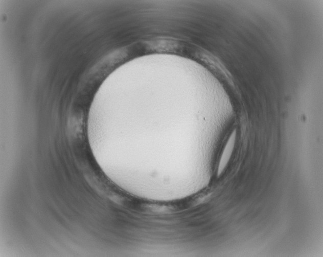X0000085830073200704132048