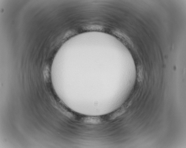 X0000085830077200704132048