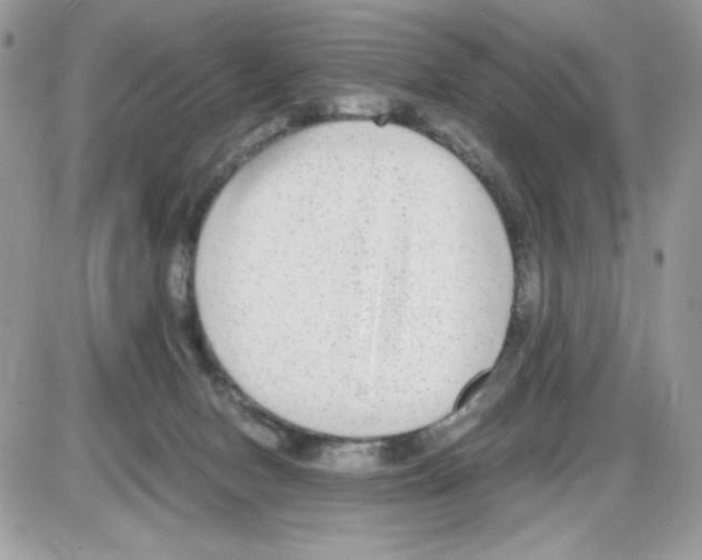 X0000085830078200704132048