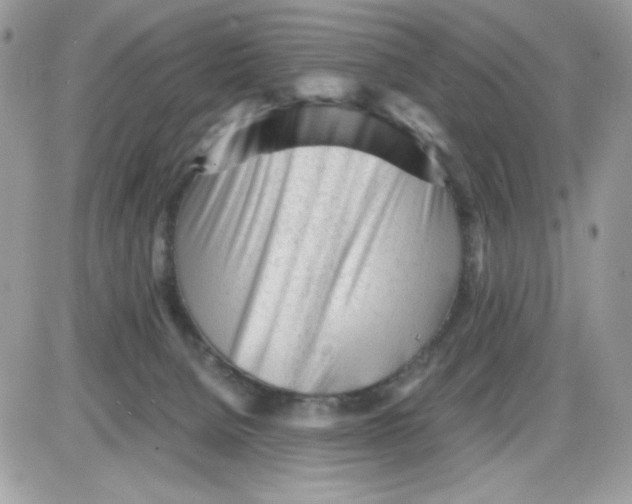 X0000085830080200704132048