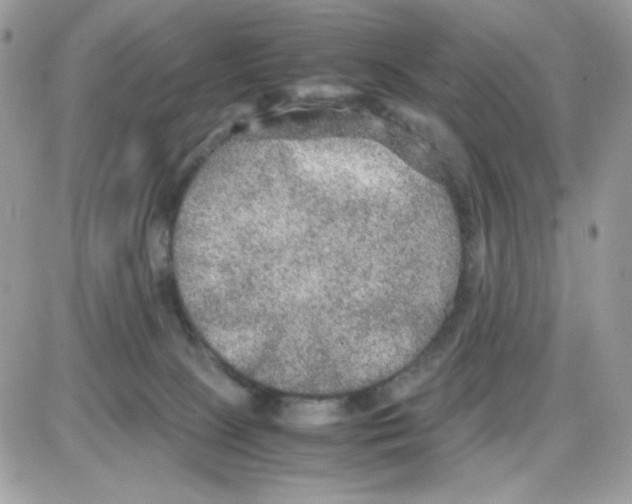X0000085830081200704132048