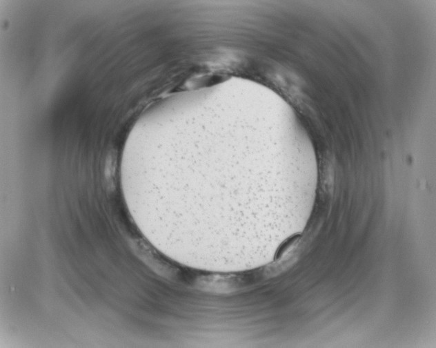 X0000085830082200704132048