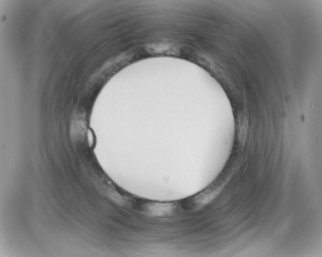 X0000085830085200704132048