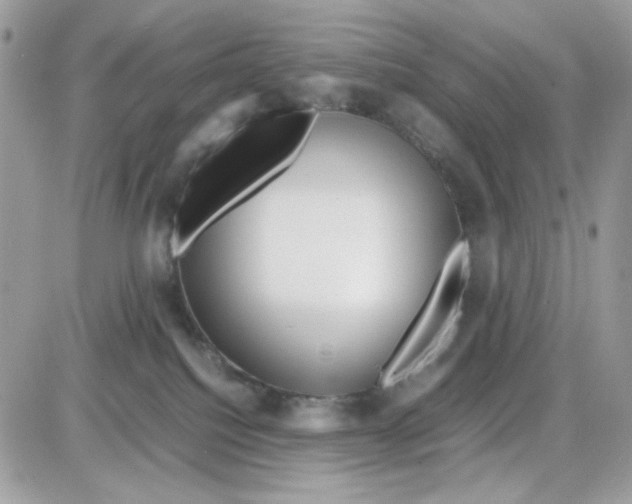 X0000085830088200704132048