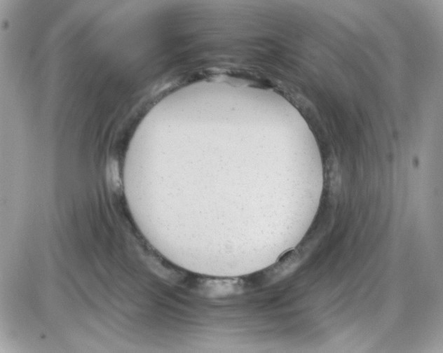 X0000085830089200704132049