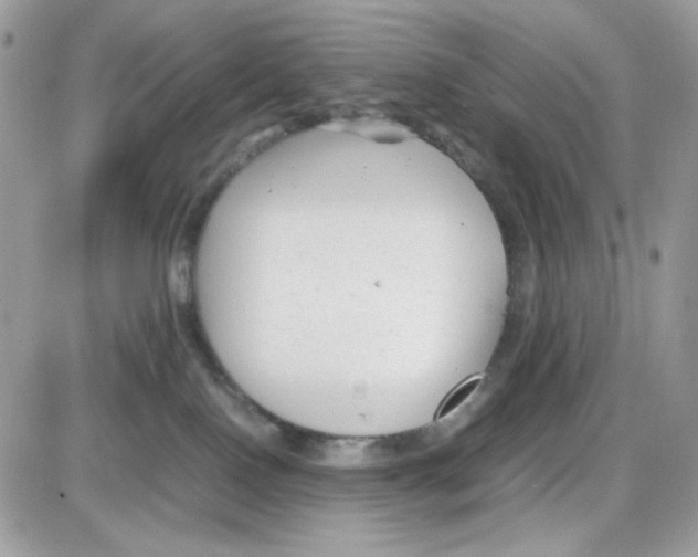 X0000085830090200704132049