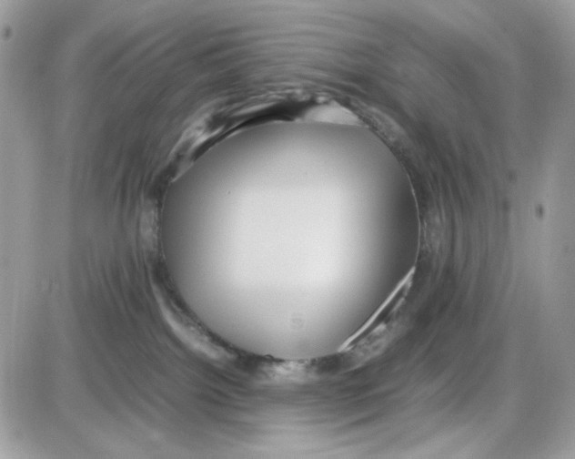 X0000085830092200704132049