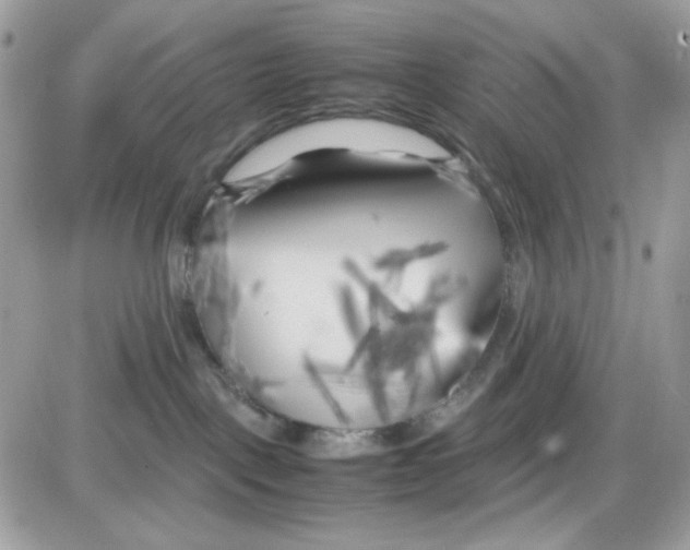X0000085830093200704132049
