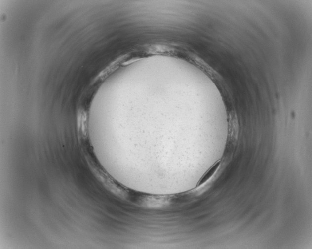 X0000085830094200704132049