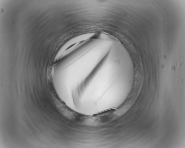 X0000085830096200704132049