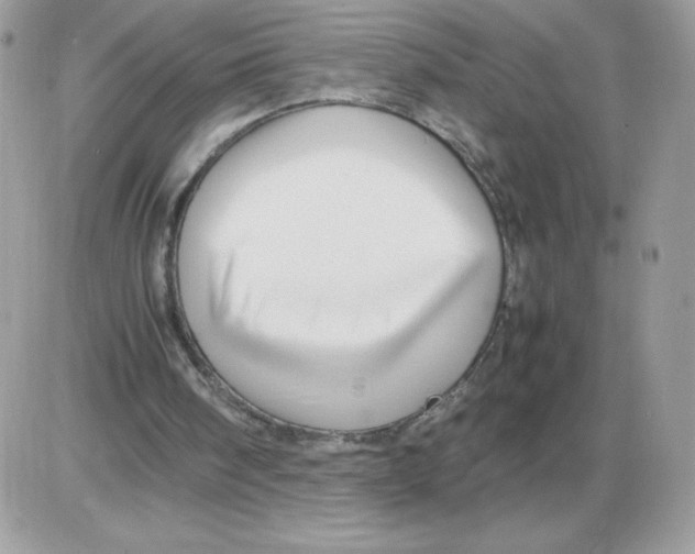 X0000085830098200704132048