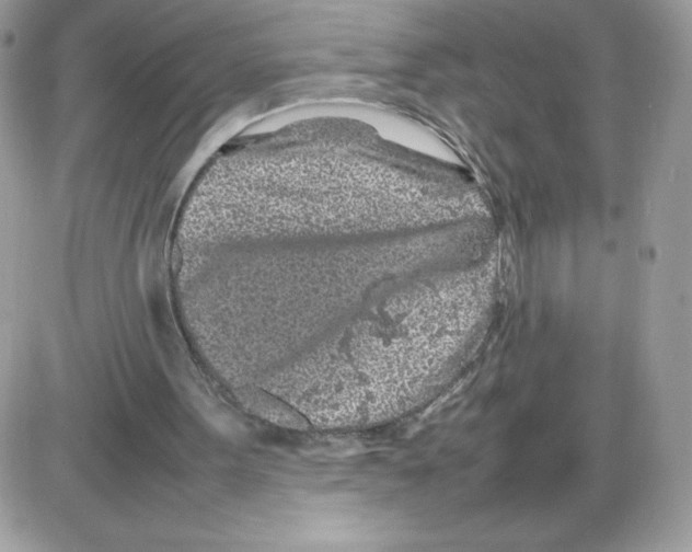 X0000085830099200704132048