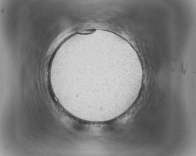 X0000085830103200704132048