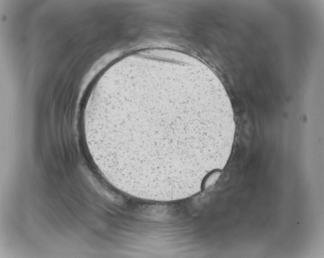 X0000085830104200704132048