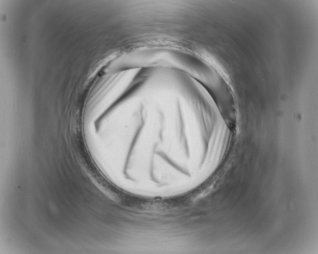 X0000085830105200704132048