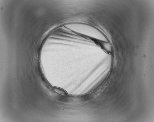 X0000085830107200704132048