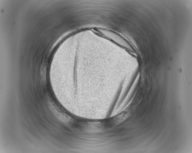 X0000085830108200704132048