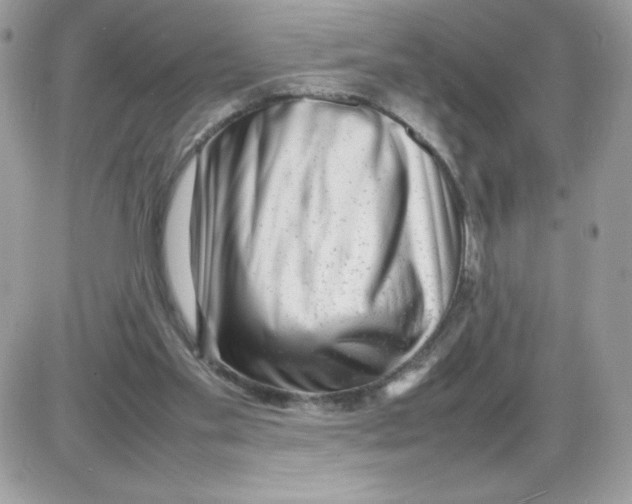 X0000085830109200704132048