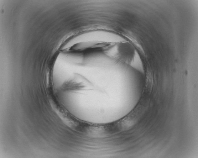 X0000085830110200704132048