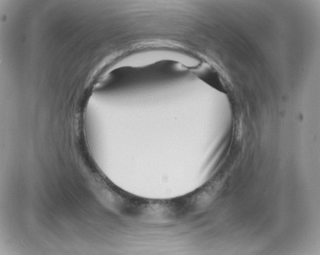 X0000085830111200704132048