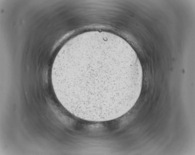 X0000085830112200704132048