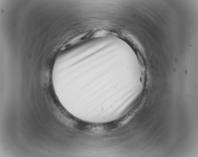 X0000085830113200704132048