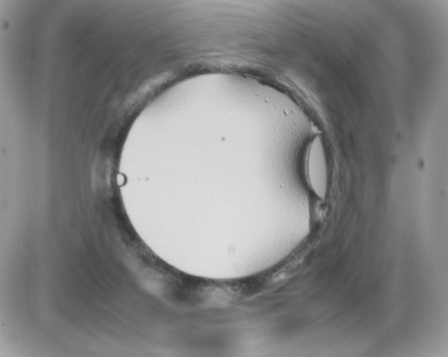 X0000085830115200704132048