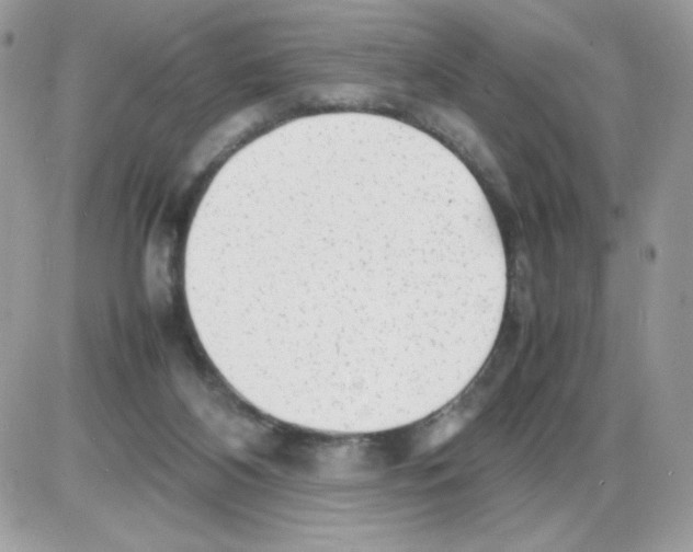 X0000085830116200704132048