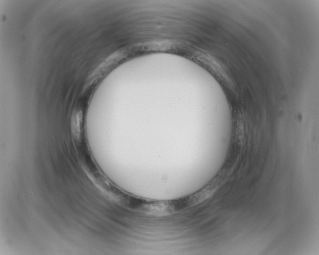 X0000085830118200704132047