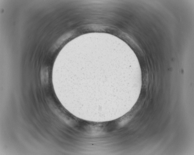 X0000085830120200704132047