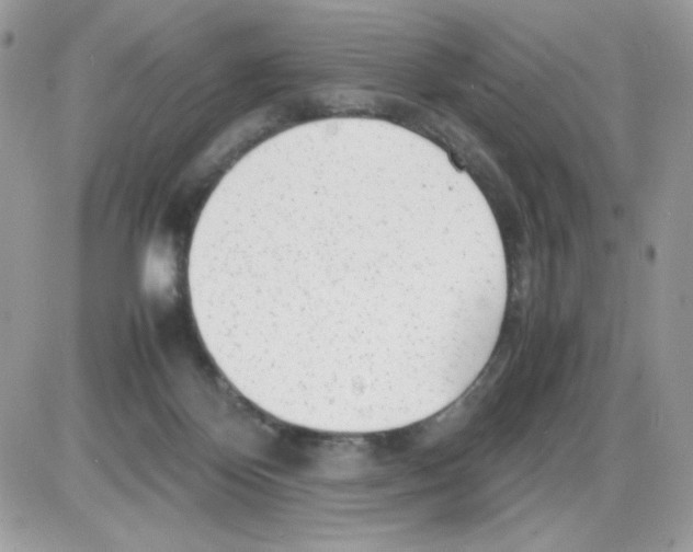 X0000085830124200704132047