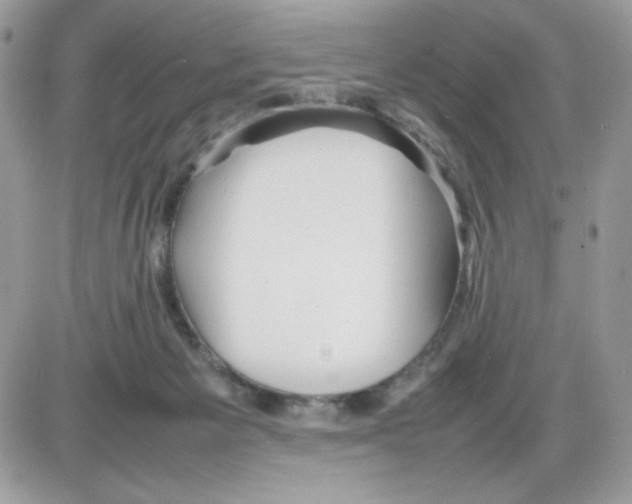 X0000085830125200704132047