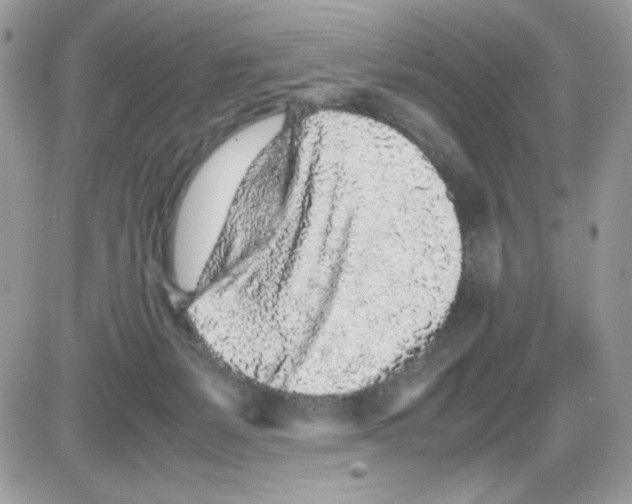 X0000085830127200704132047