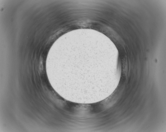 X0000085830128200704132047
