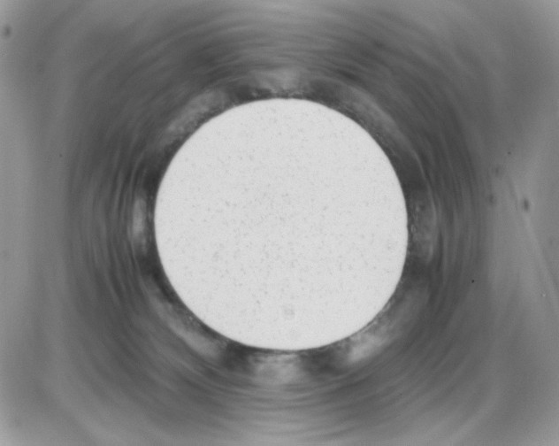 X0000085830132200704132047