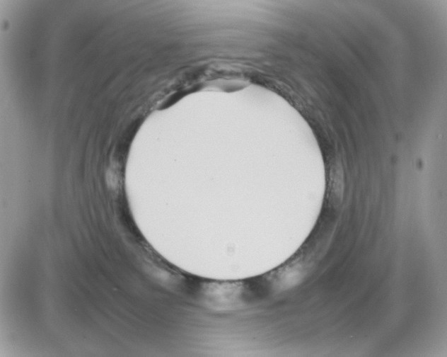 X0000085830135200704132047