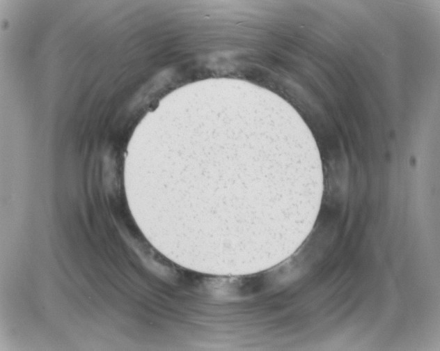 X0000085830136200704132047