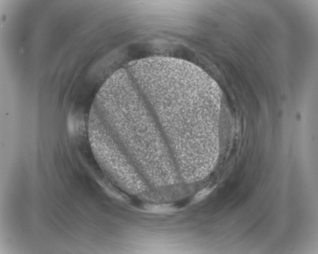 X0000085830137200704132047
