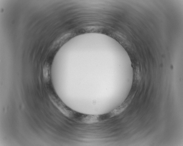 X0000085830138200704132047