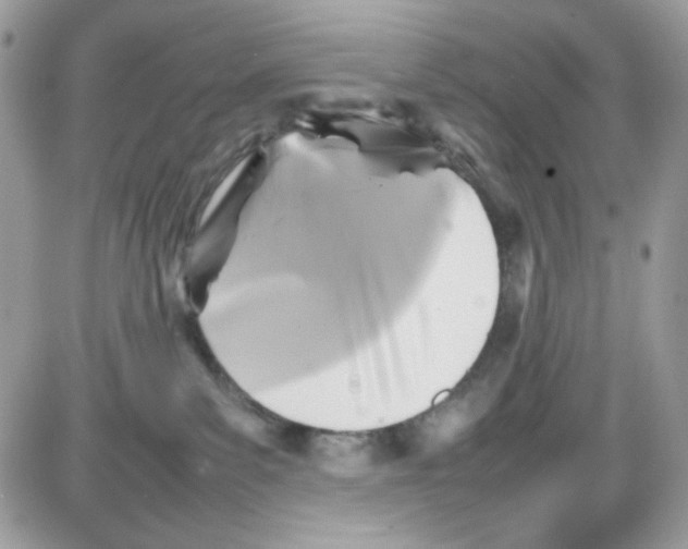 X0000085830139200704132047
