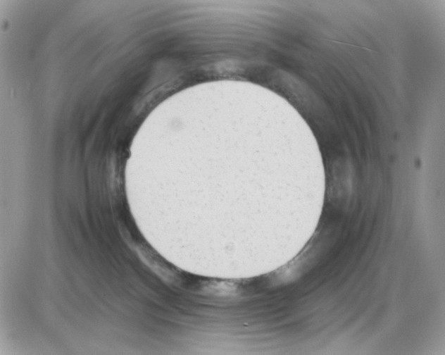 X0000085830140200704132047