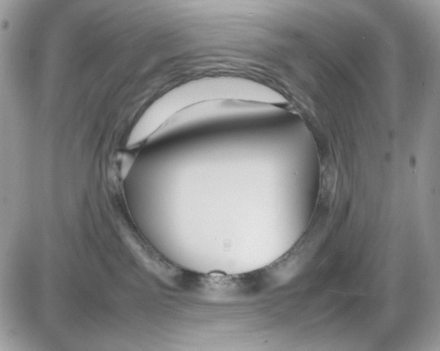 X0000085830141200704132047