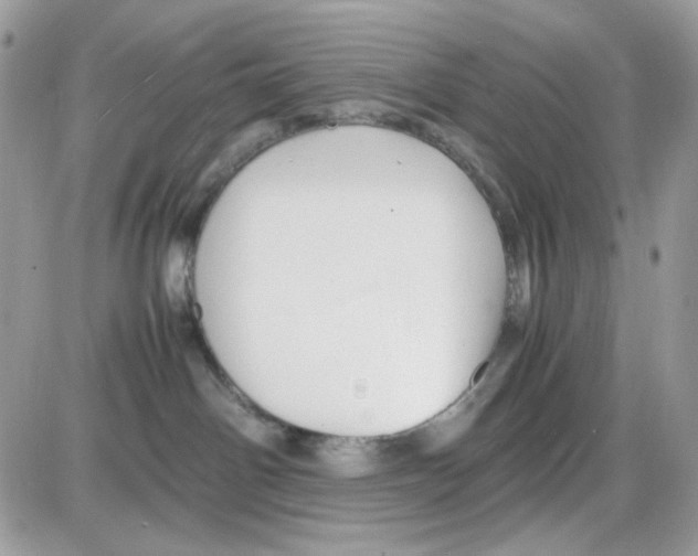 X0000085830142200704132047