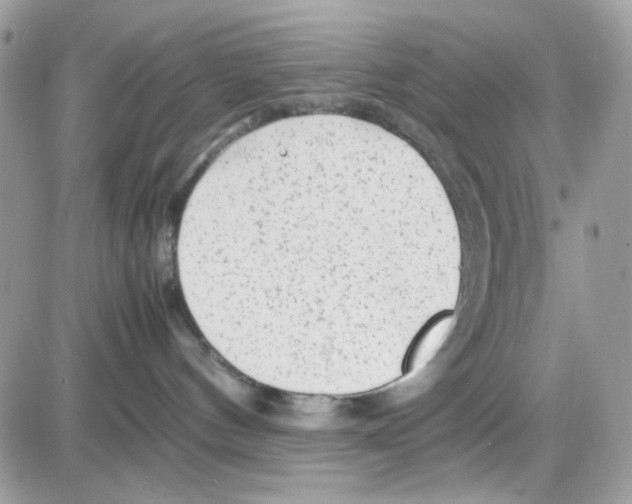 X0000085830144200704132047