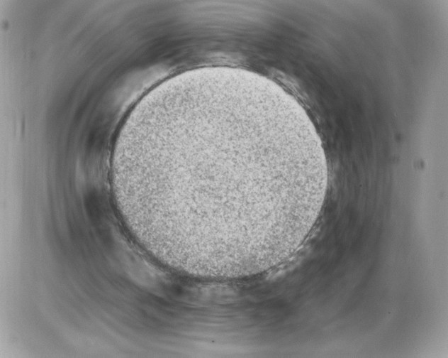X0000085830146200704132046