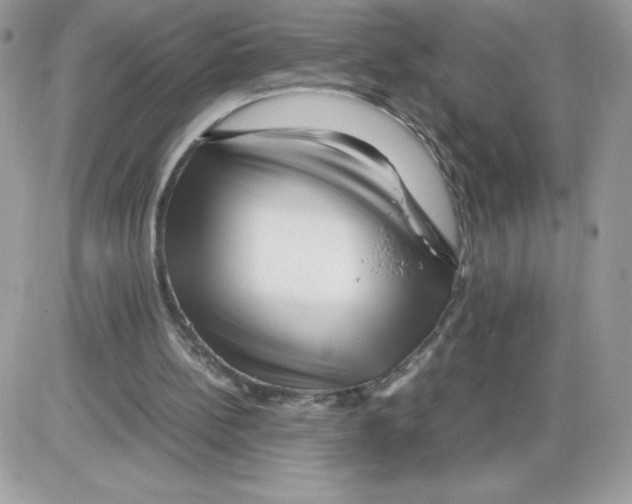 X0000085830148200704132046
