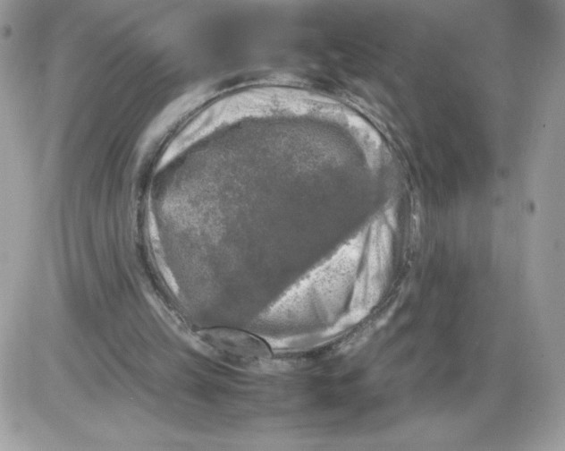 X0000085830149200704132046